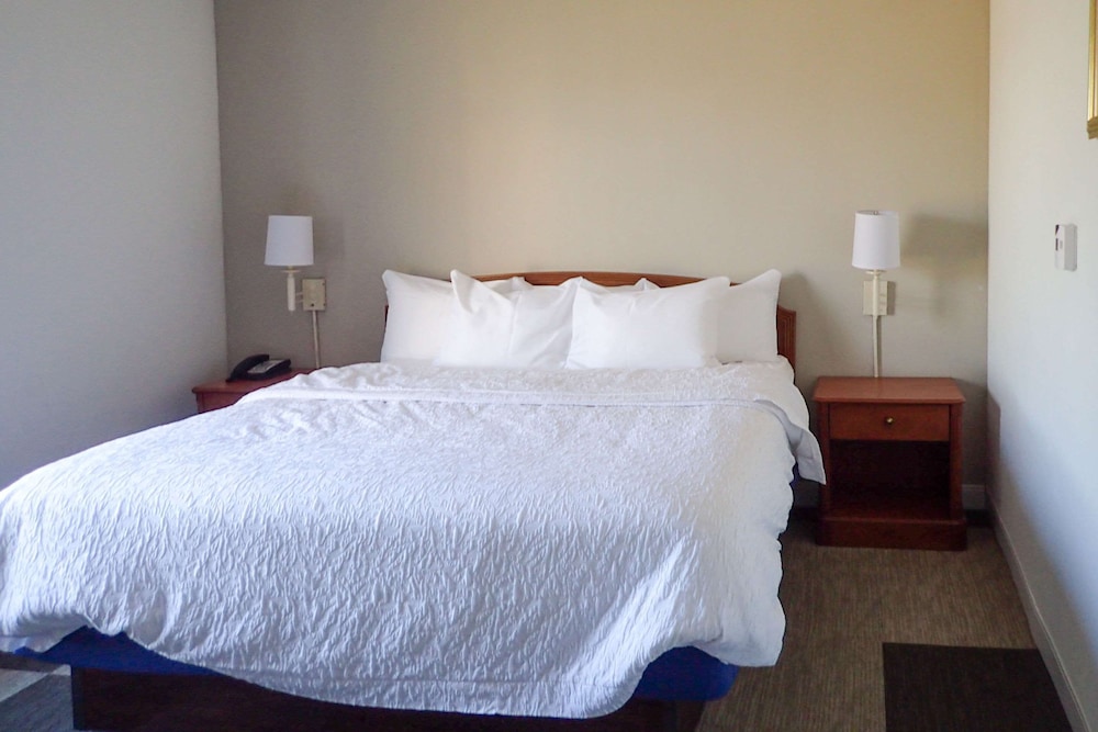 Suite, 1 King Bed, Non Smoking