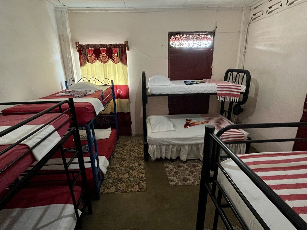 Basic Shared Dormitory photo 1