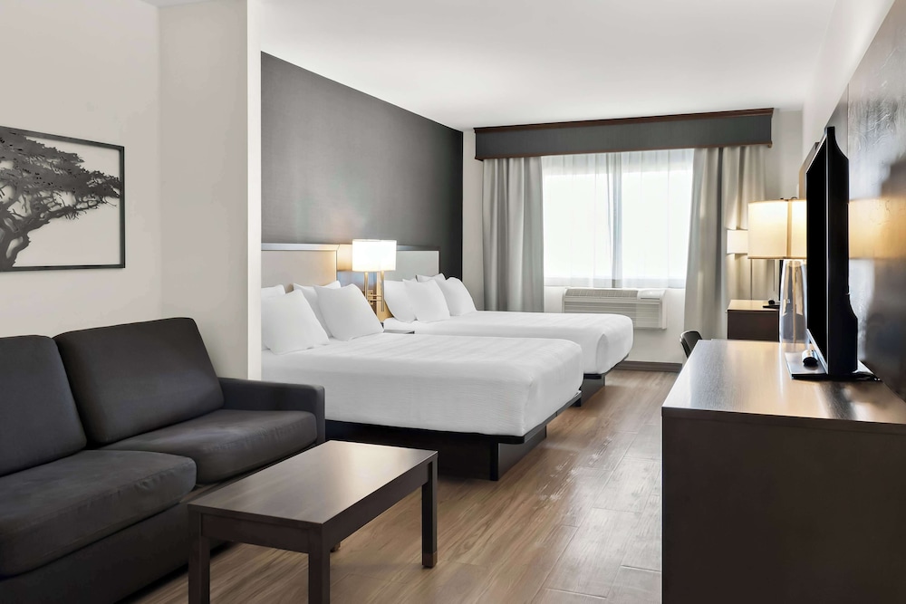 Suite, Multiple Beds, Accessible, Refrigerator & Microwave (with Sofabed) - Photo 1