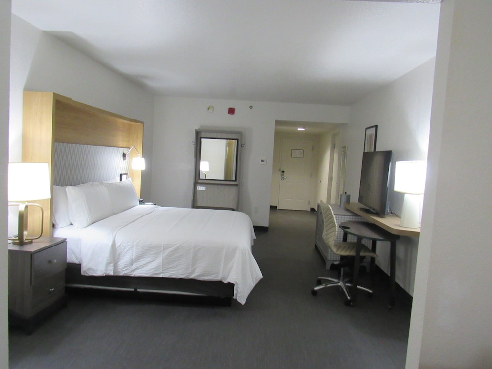 Premium Room, 1 King Bed with Sofa bed
