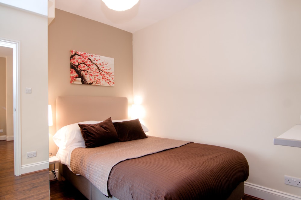Deluxe Large One Bedroom Apartment photo 1