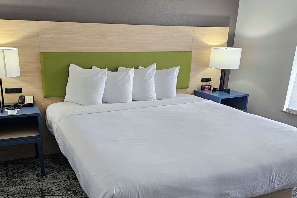 Suite, 1 King Bed, Non Smoking (Extended Stay) - Photo 1