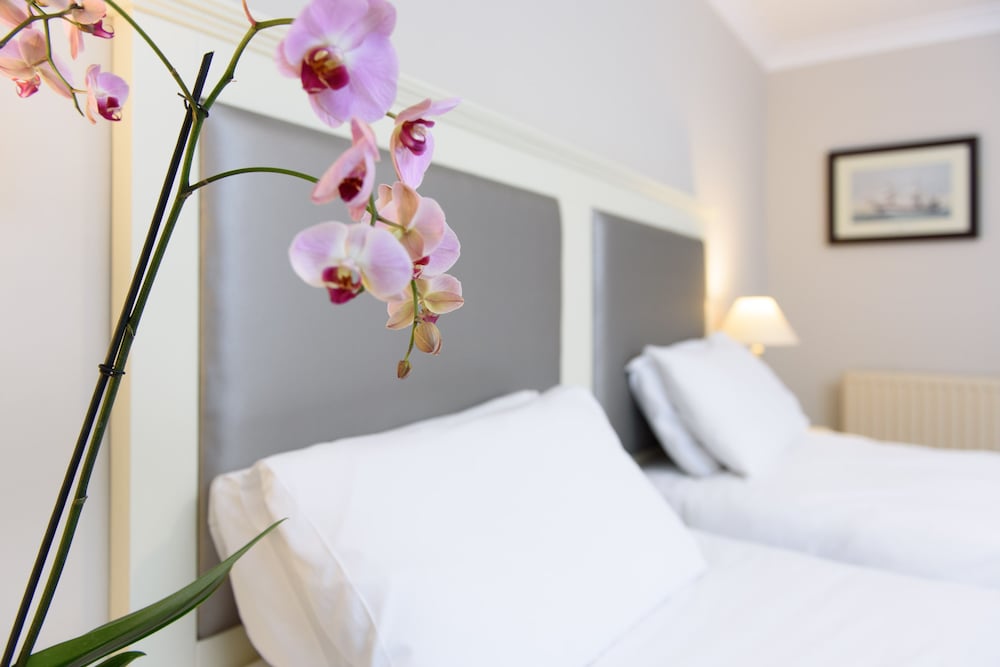 Double or Twin Room - Photo 2