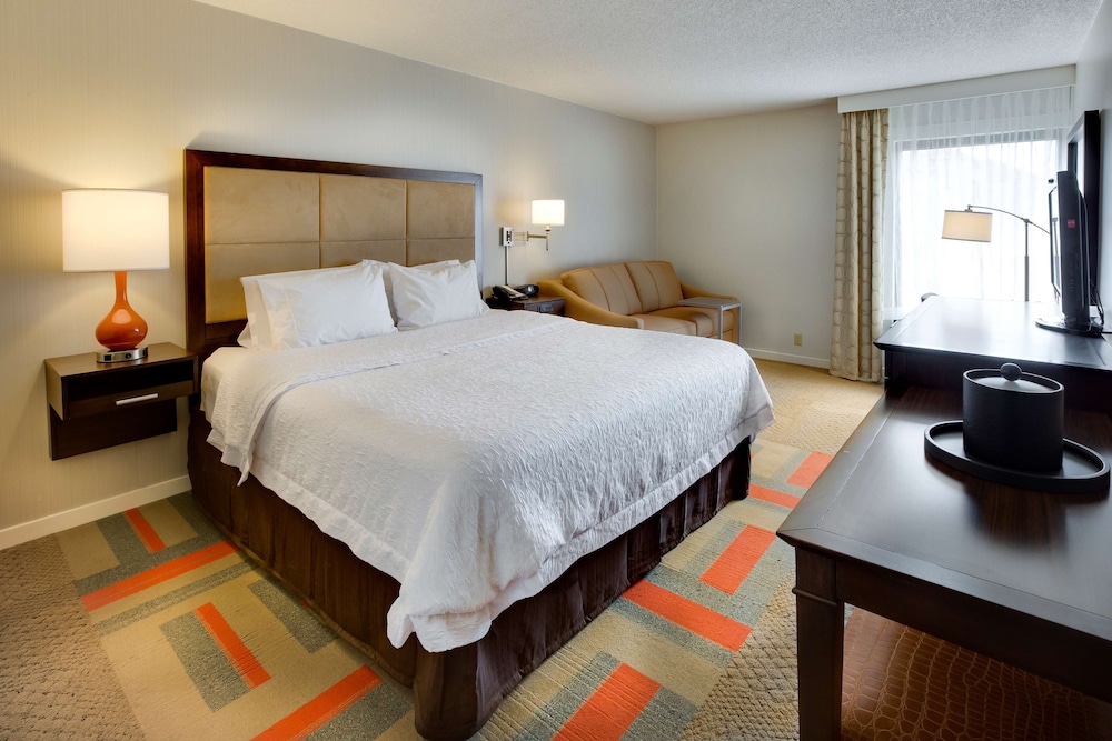 Room, 1 King Bed with Sofa bed, Accessible (Hearing) - Photo 4