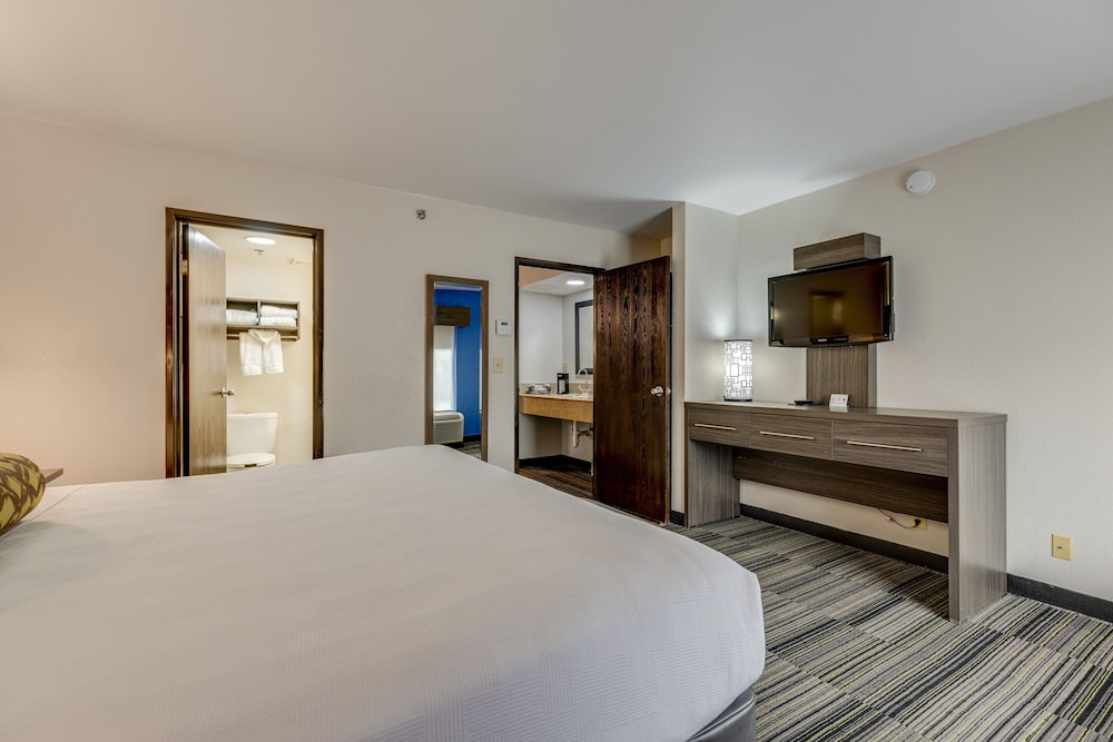 Suite One King Bed - Photo 15