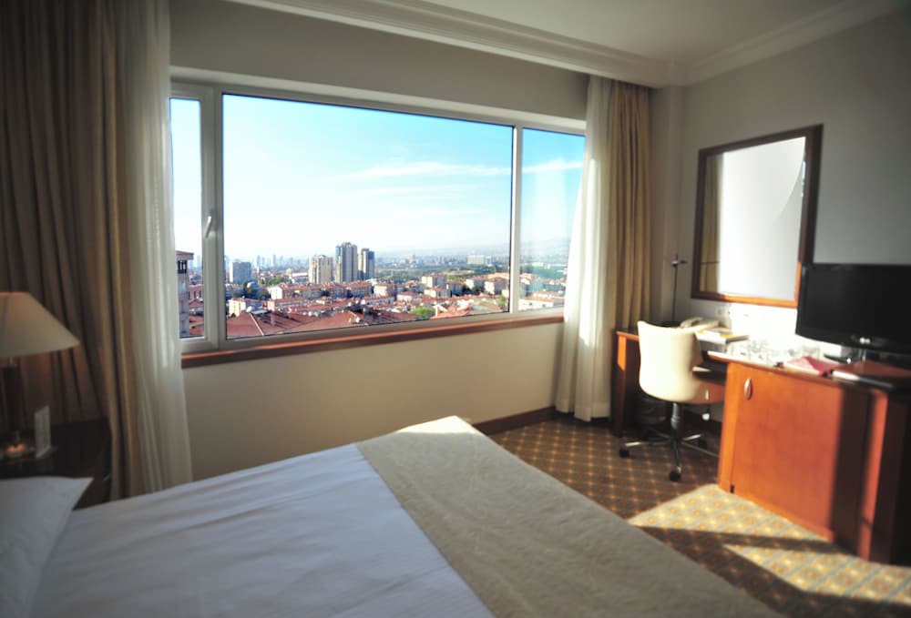 Executive Room - Photo 4