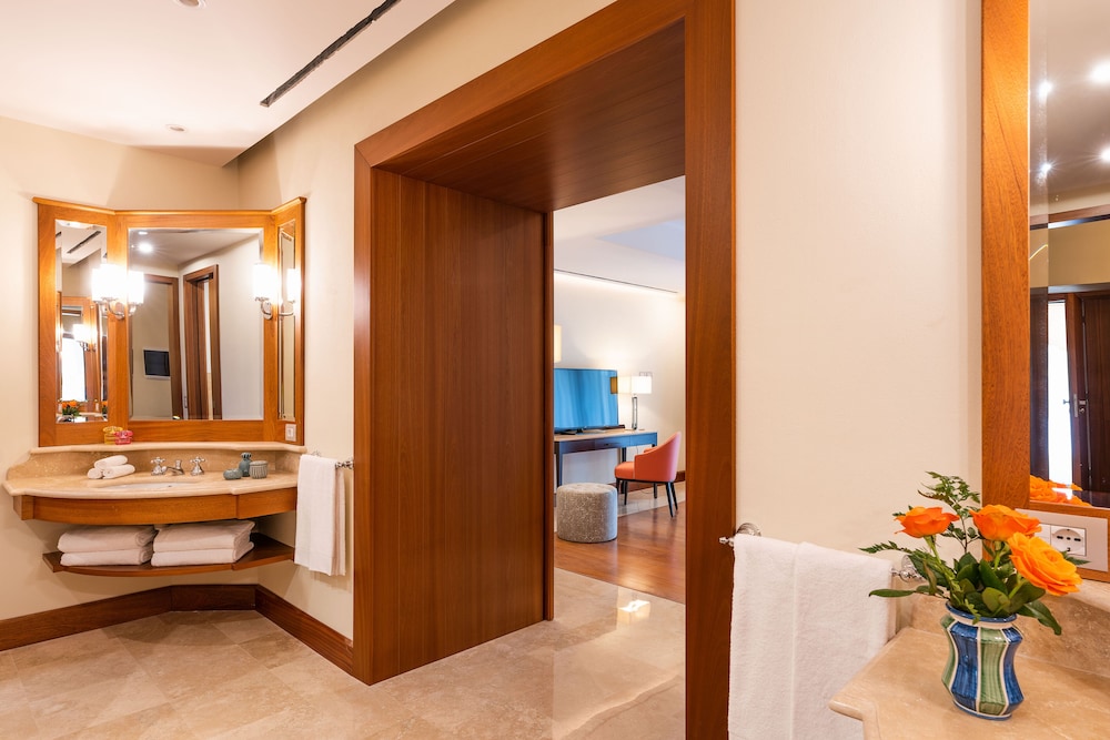 Premium Suite - Photo 9