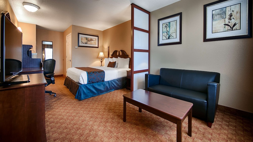 Standard Room, 1 King Bed, Non Smoking, Refrigerator & Microwave (Pet Friendly) - Photo 4
