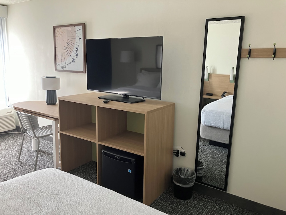 Room, 1 Queen Bed, Accessible (Mobility, Roll-In Shower) - Photo 3