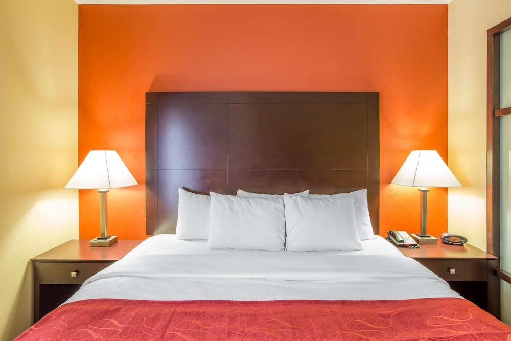 Suite, 1 King Bed With Sofa Bed, Accessible, Non Smoking photo 2