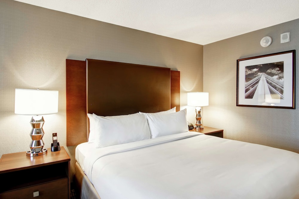 Suite, 1 King Bed with Sofa bed, Non Smoking