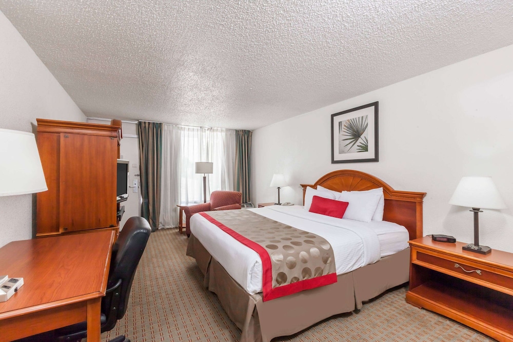 Suite, 1 King Bed, Non Smoking, Kitchen photo 1