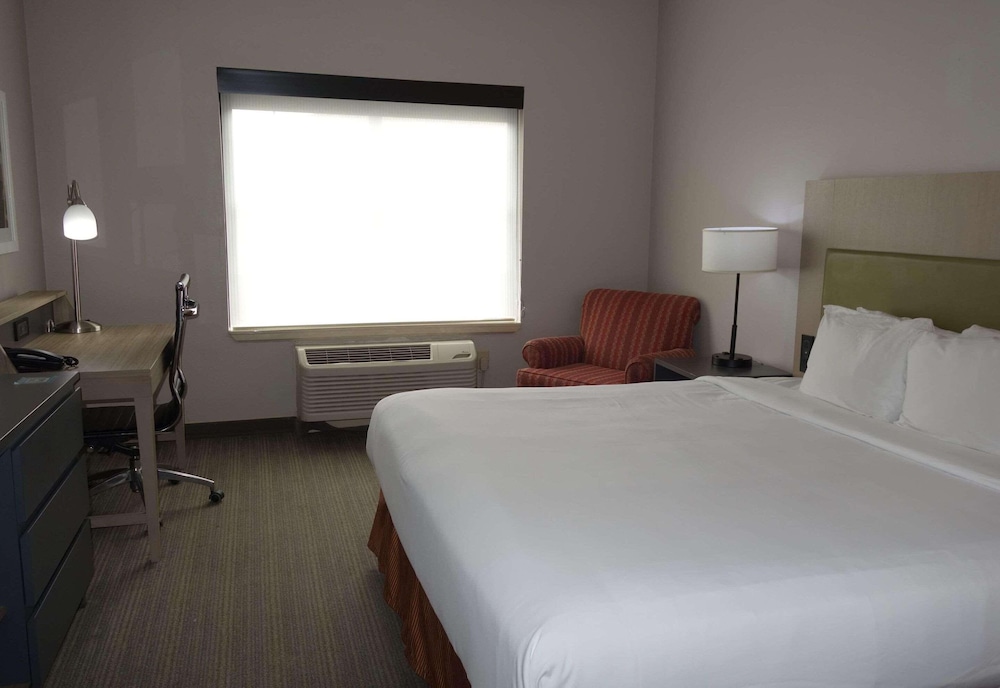 Room, 1 King Bed, Accessible, Non Smoking - Photo 1