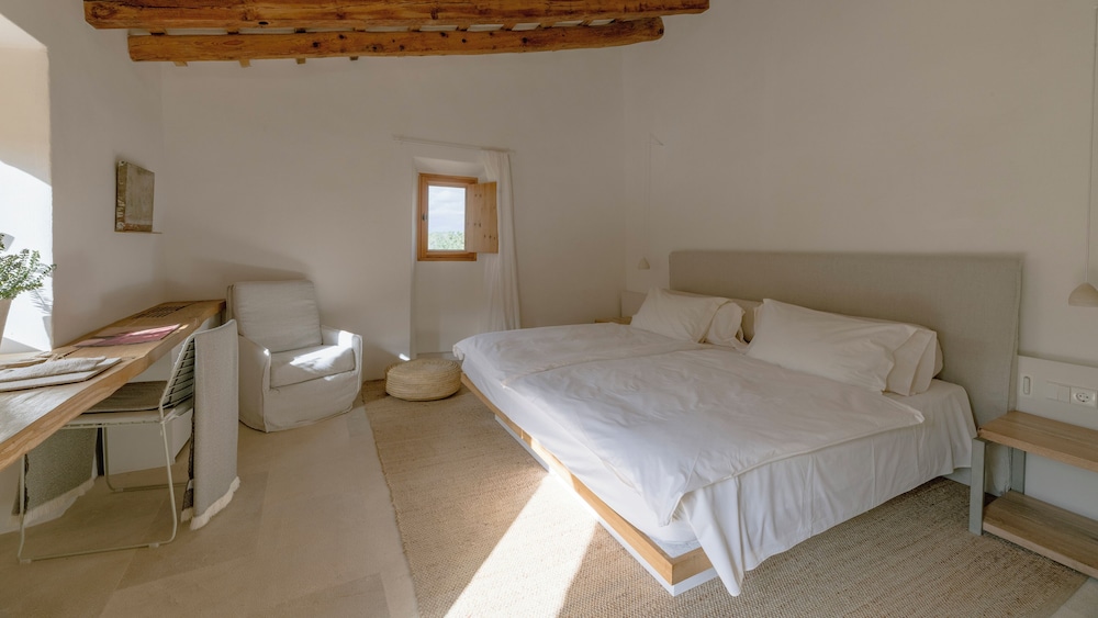 Junior Suite, Terrace