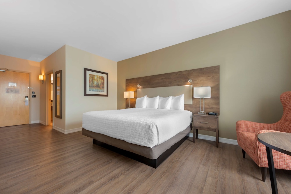 Standard Room, 1 King Bed, Non Smoking, Refrigerator & Microwave photo 3