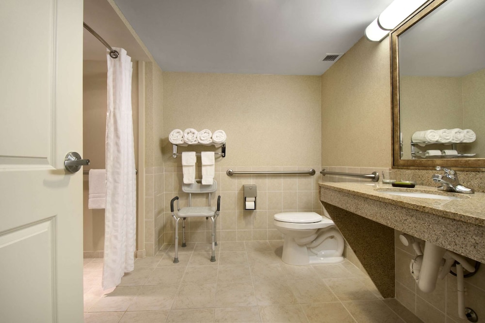 Suite, 1 King Bed, Accessible (Roll-In Shower) - Photo 5