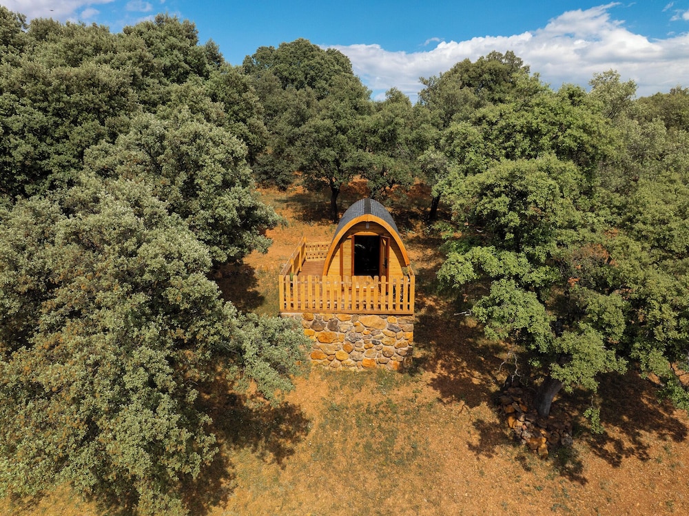 Cabin, Mountain View