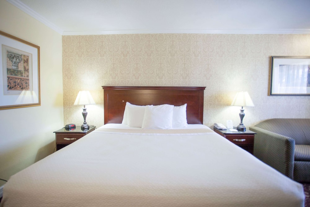 Standard Room, 1 King Bed - Photo 7