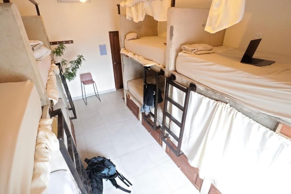 Basic Shared Dormitory photo 2