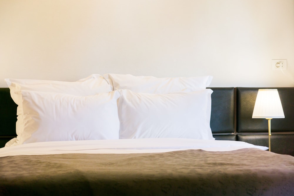 Superior Studio Suite, 1 King Bed with Sofa bed, Park View photo 3