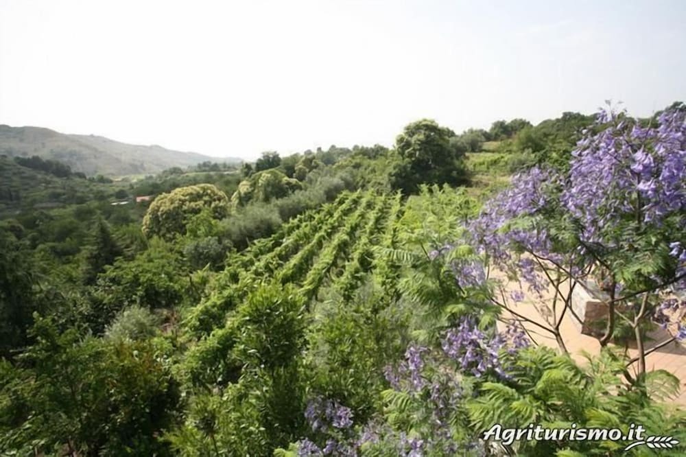 Apartment, Vineyard View (Il Pergolato di Kiwi) photo 2
