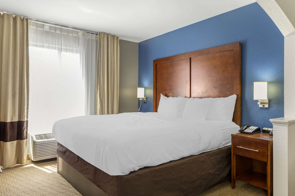Suite, 1 King Bed, Non Smoking - Photo 6