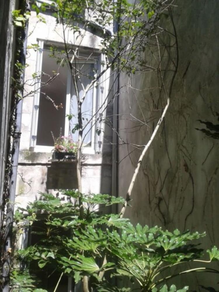 Comfort Double Room, Courtyard Area photo 3