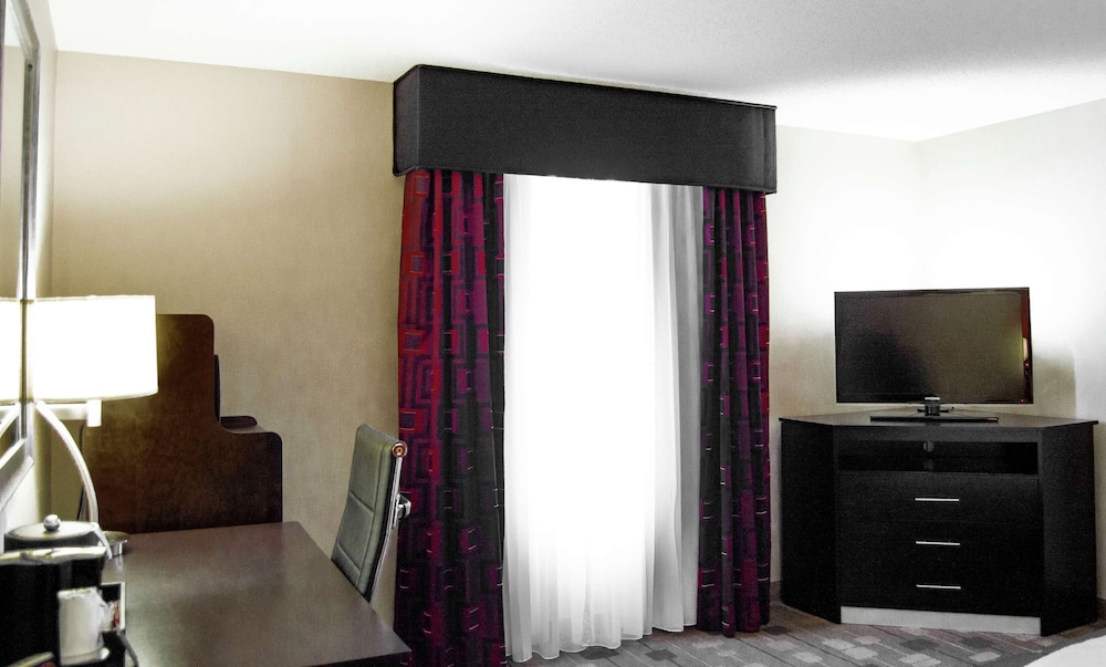 Studio, 1 King Bed With Sofa Bed, Accessible (Mobility Accessible Roll-In Shower) - Photo 3