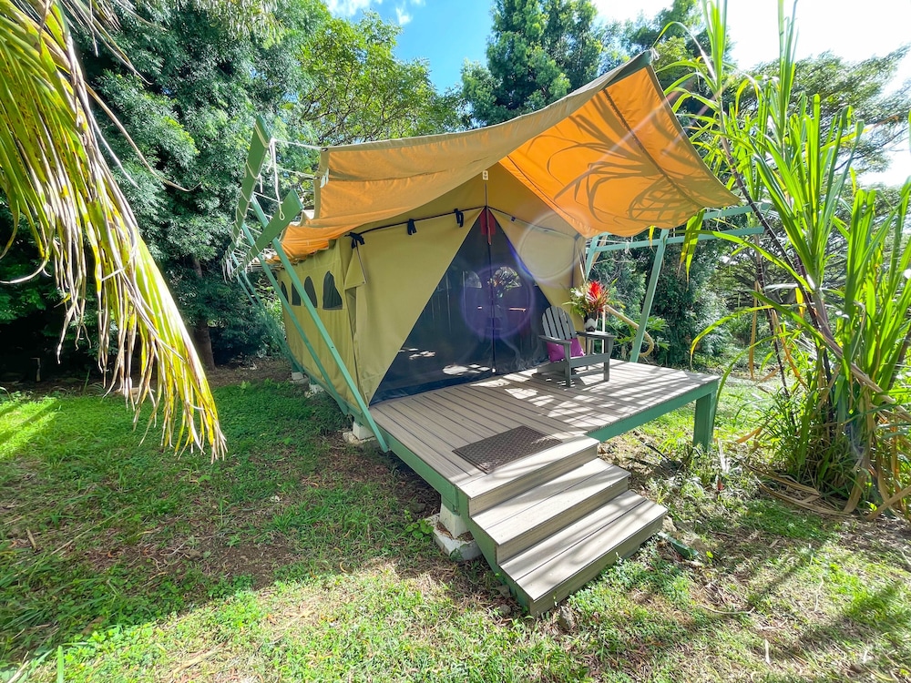 Bamboo Canopy photo 1