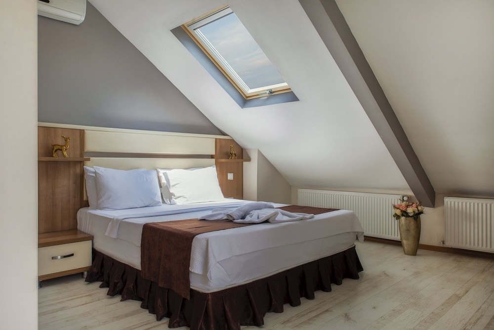 Deluxe Loft photo 3