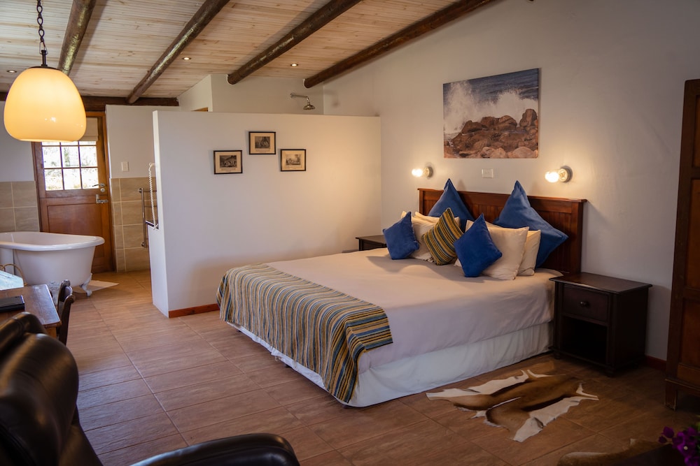 Comfort Double or Twin Room photo 1
