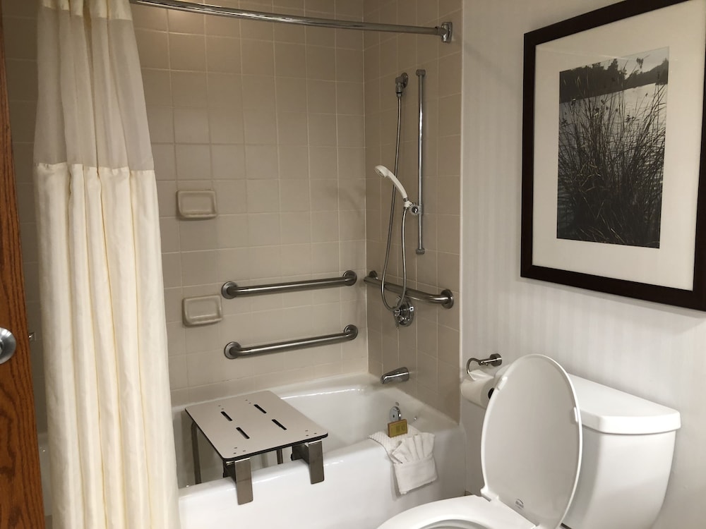 Deluxe Room, 1 King Bed, Accessible, Non Smoking - Photo 6