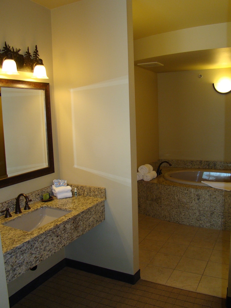 Executive Suite, 1 King Bed, Kitchen (Executive King Suite Full Kitchen)