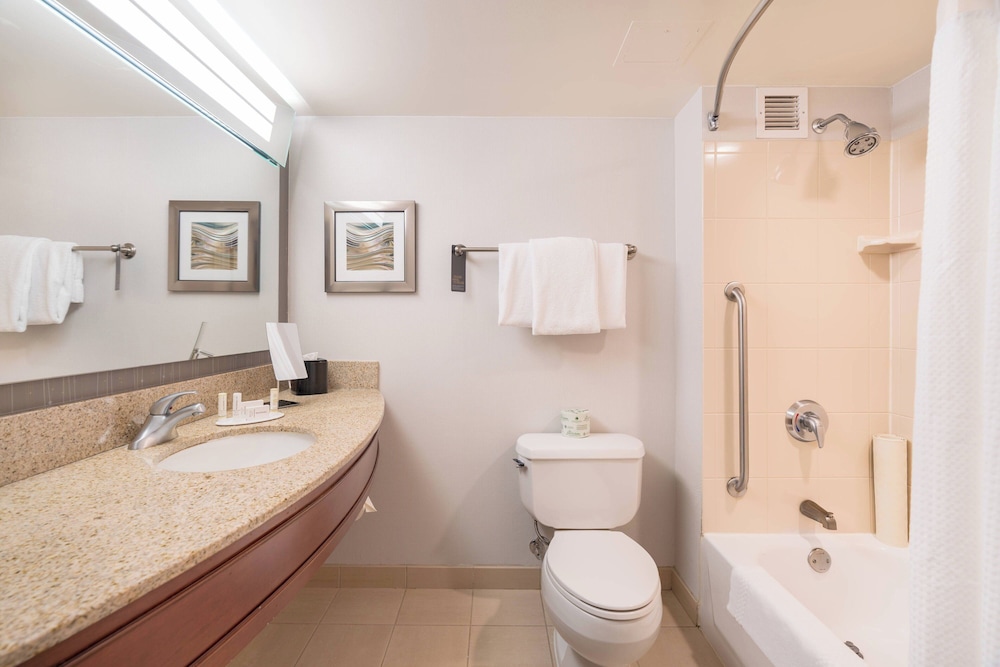 Room, 1 King Bed with Sofa bed (Mobility Accessible, Roll-in Shower) - Photo 8