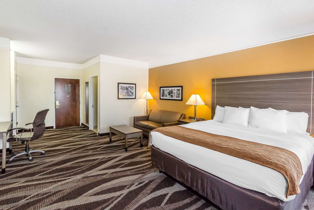 Suite, 1 King Bed, Non Smoking - Photo 1