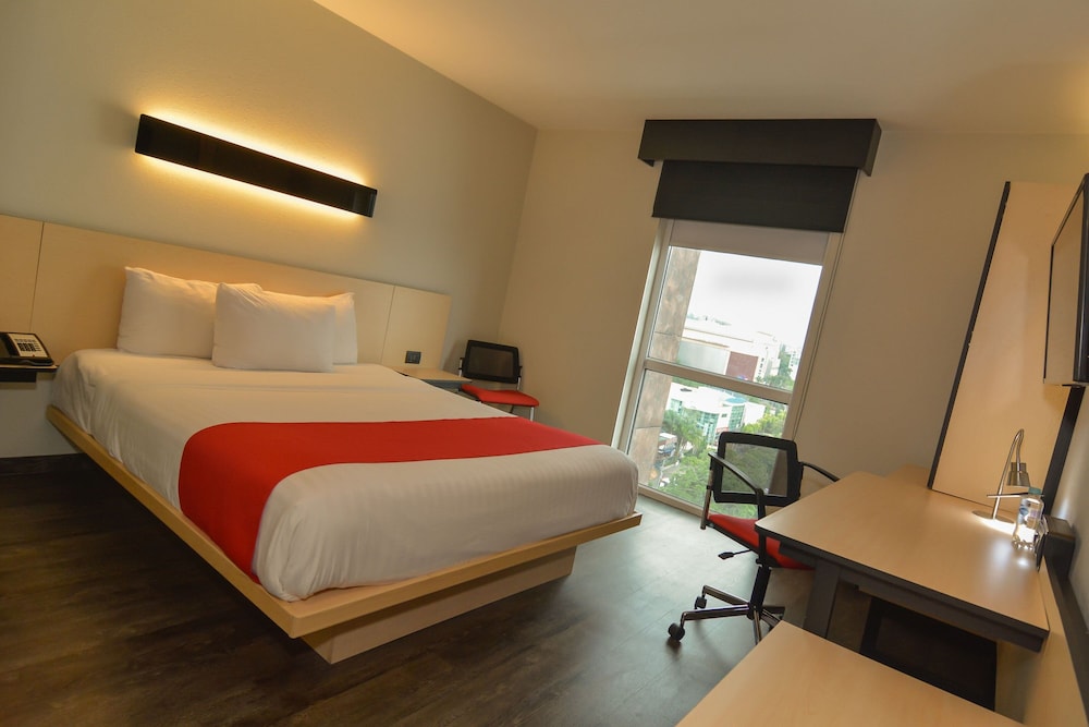 Room, 1 Queen Bed photo 2