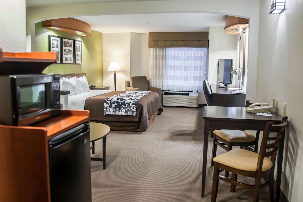 Suite, 1 King Bed with Sofa bed, Accessible, Non Smoking photo 1