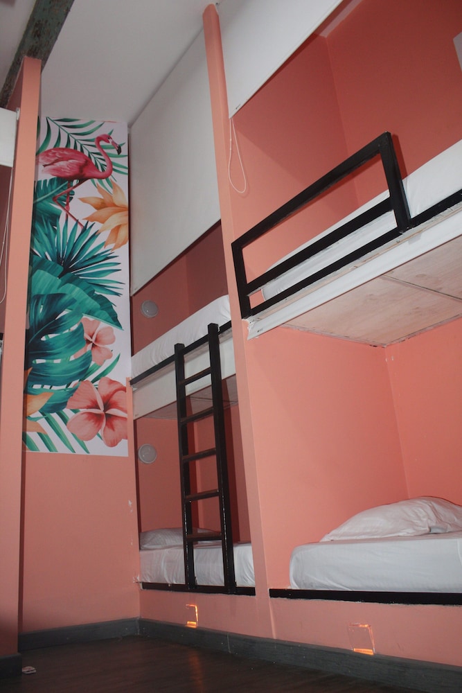 Tropical Mixta photo 2
