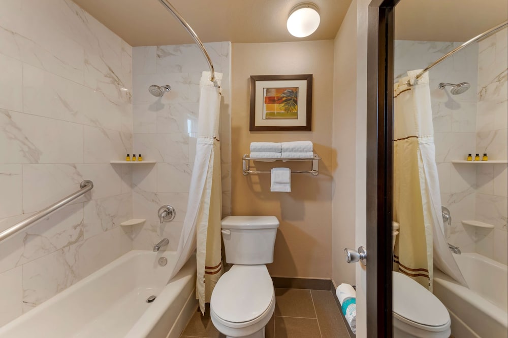 Suite (1 King Bed) - Photo 4