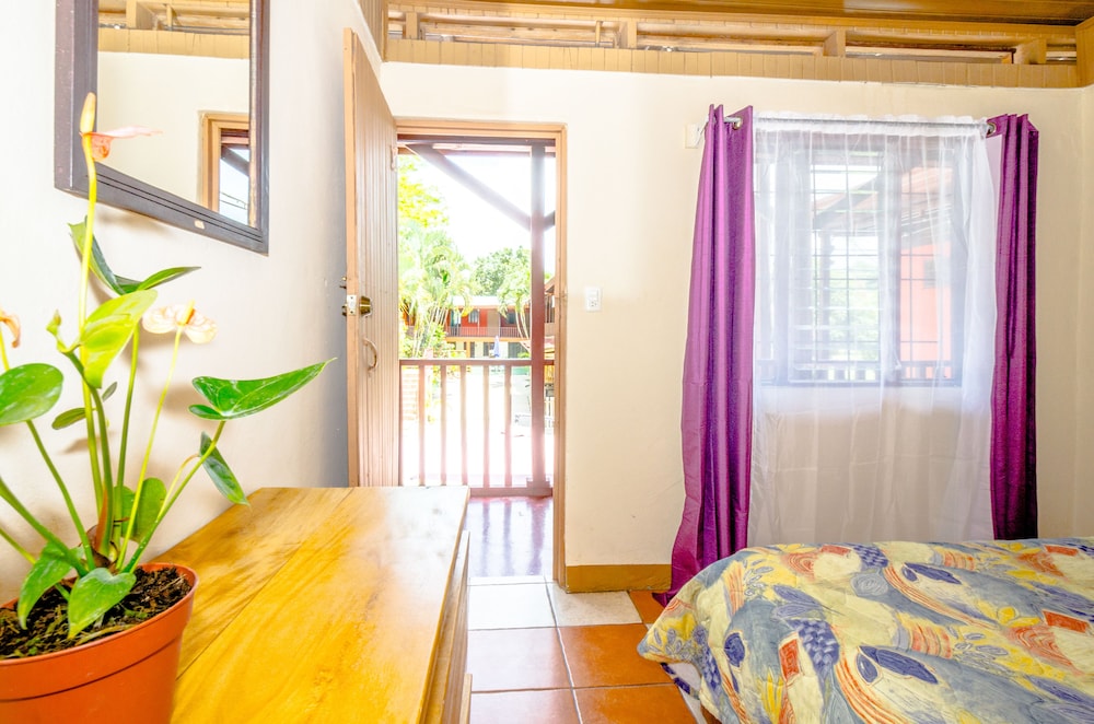 Comfort Double Room Single Use, 1 Queen Bed photo 1