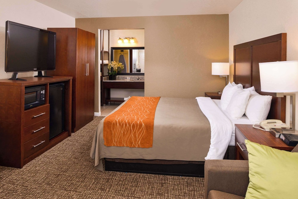 Room, 1 King Bed, Non Smoking photo 3