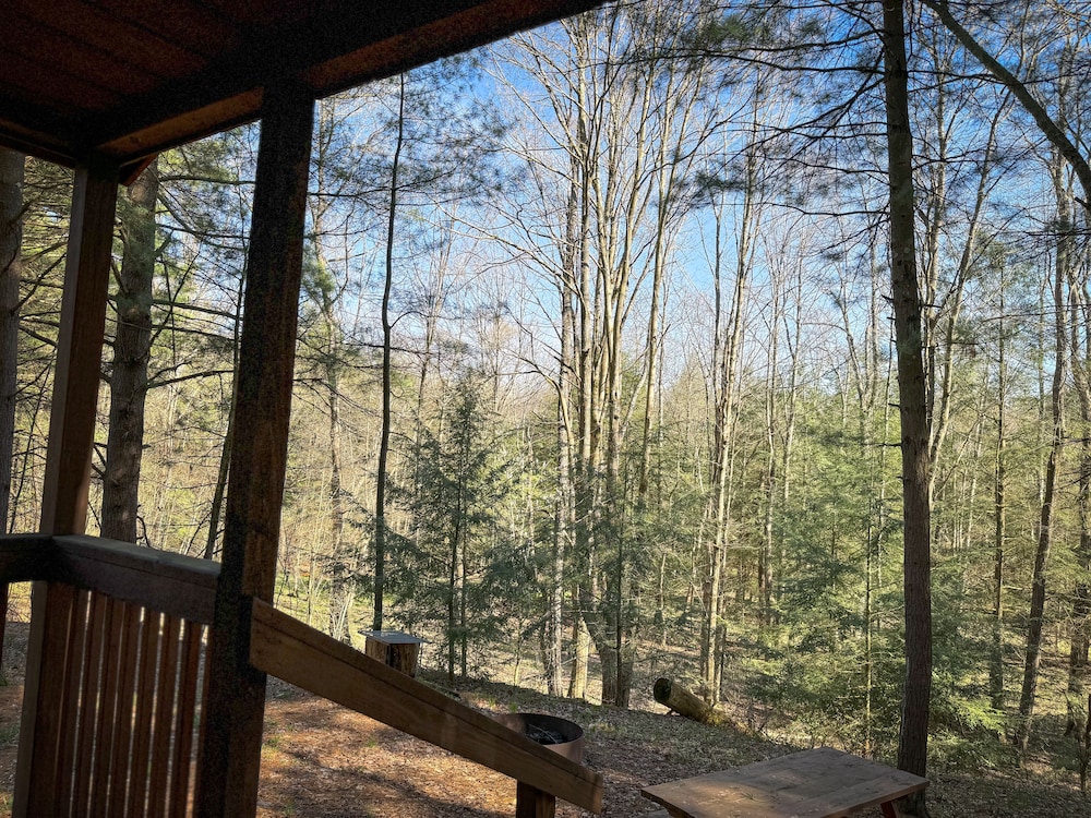 Traditional Cabin photo 3