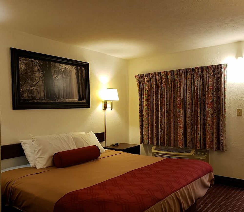 Standard Room, 1 King Bed, Non Smoking photo 1