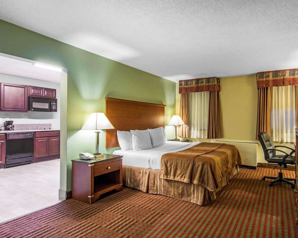 Classic Studio Suite, 1 King Bed, Non Smoking, Kitchen photo 1