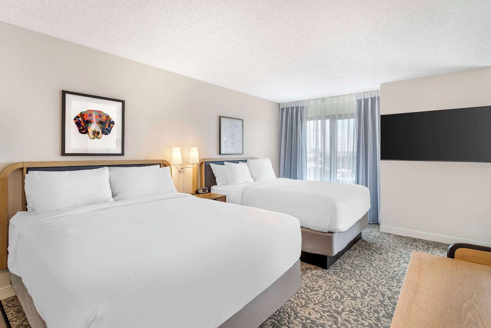 Deluxe Room, Multiple Beds (Studio)