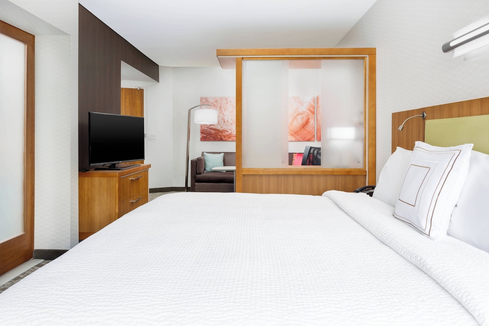 Studio, 1 King Bed with Sofa bed (Mobility/Hearing Accessible, Tub)