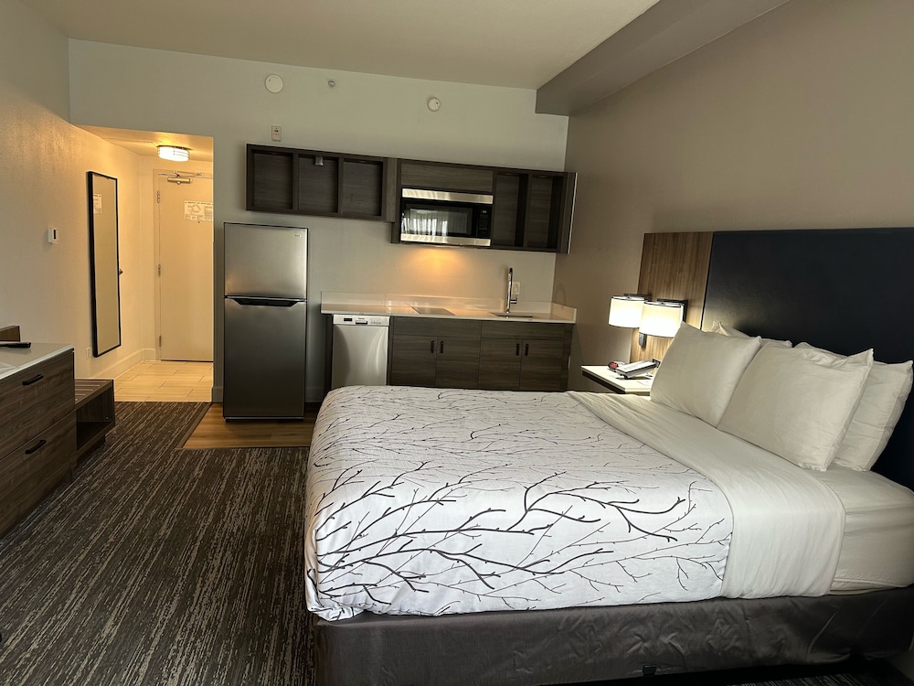 Standard Room, 1 King Bed, Kitchenette, Pool View (Shower Only)