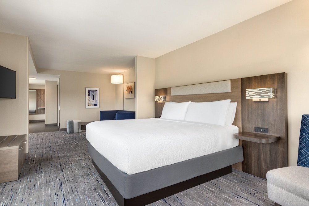Suite, 1 King Bed with Sofa bed, Accessible (Accessible Tub) - Photo 2