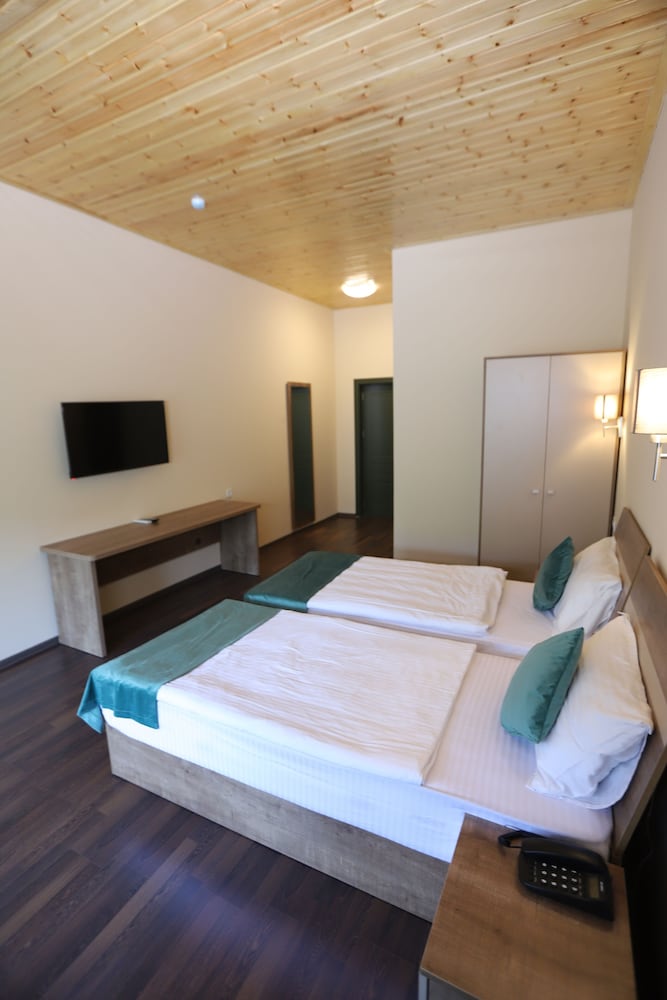 Deluxe Twin Room photo 2