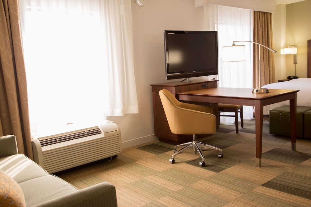 Studio Suite, 1 King Bed with Sofa bed photo 1